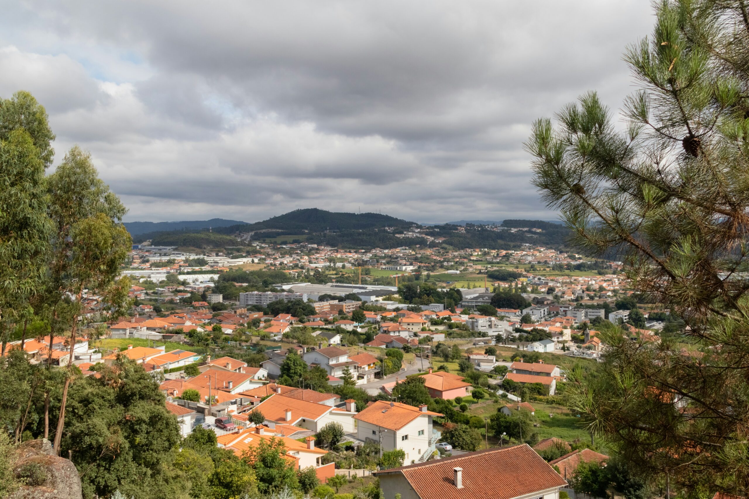 A view of a city from a hill