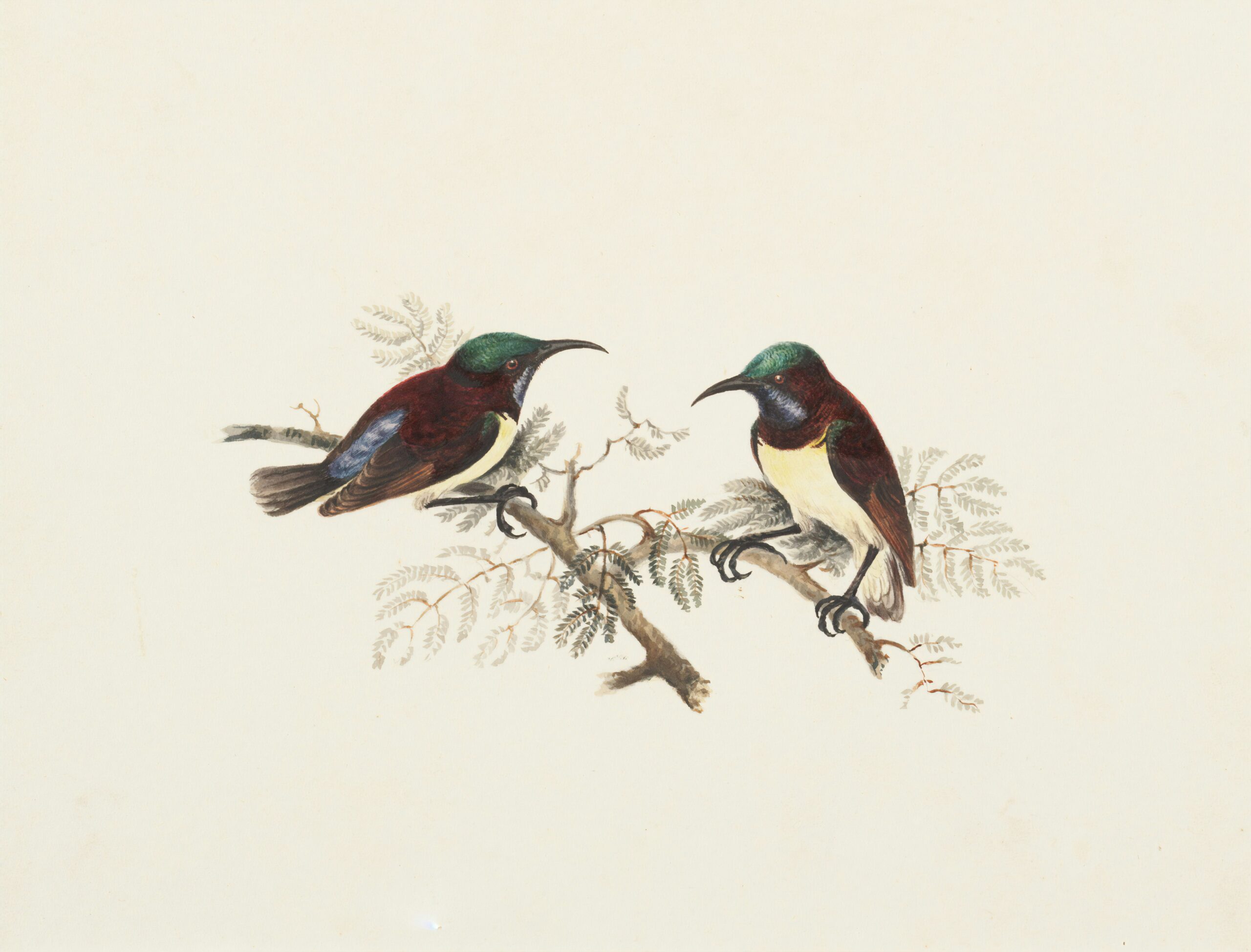 painting of birds