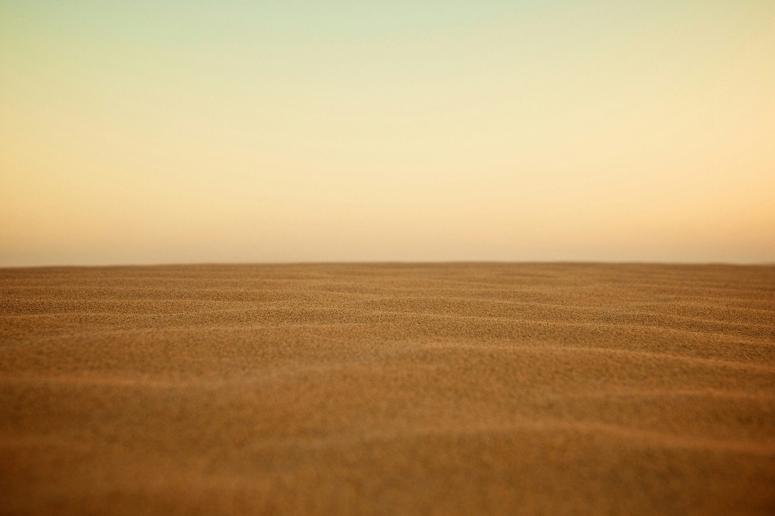 selective focus photography of desert