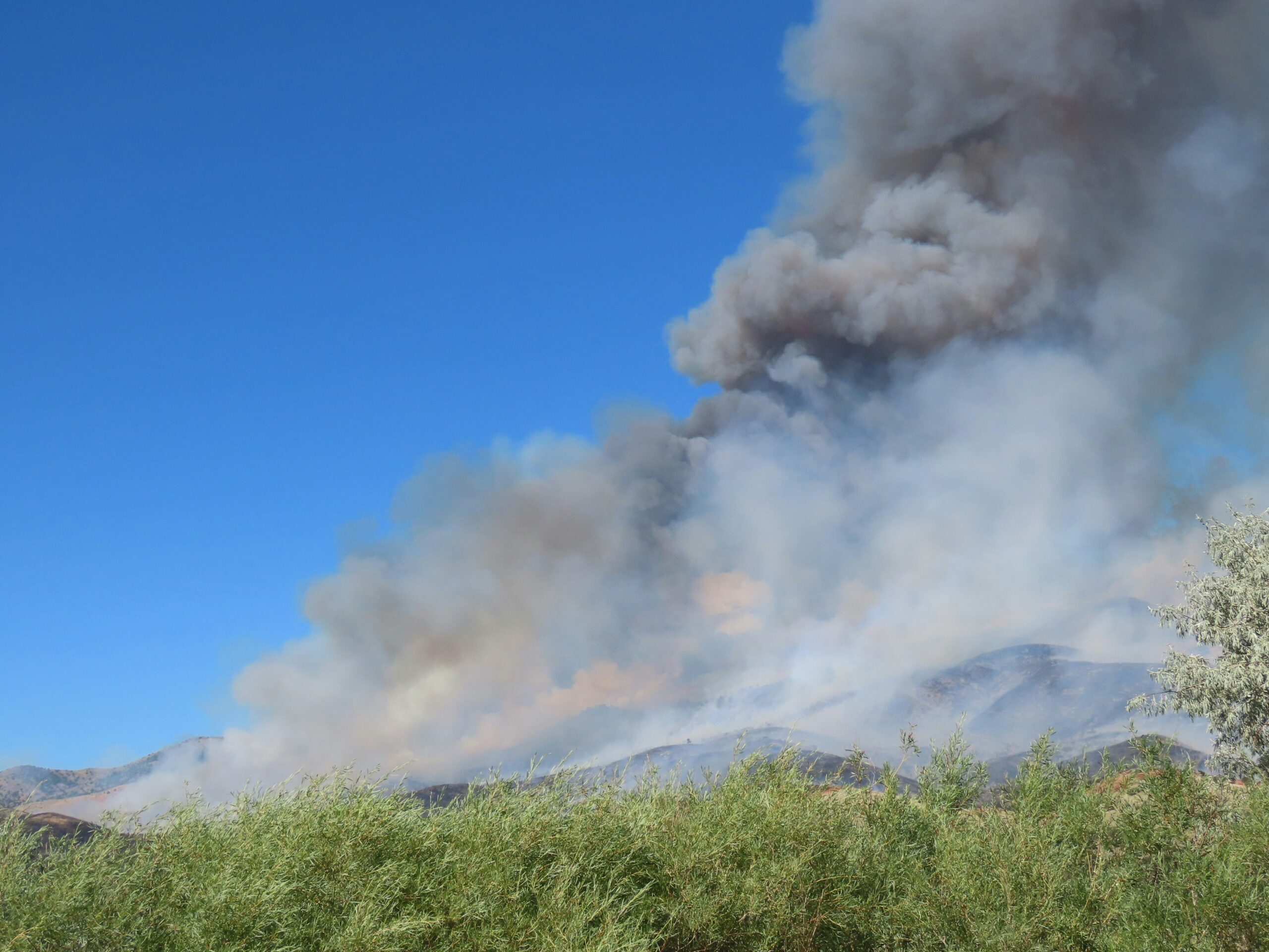 a large plume of smoke rising from a forest