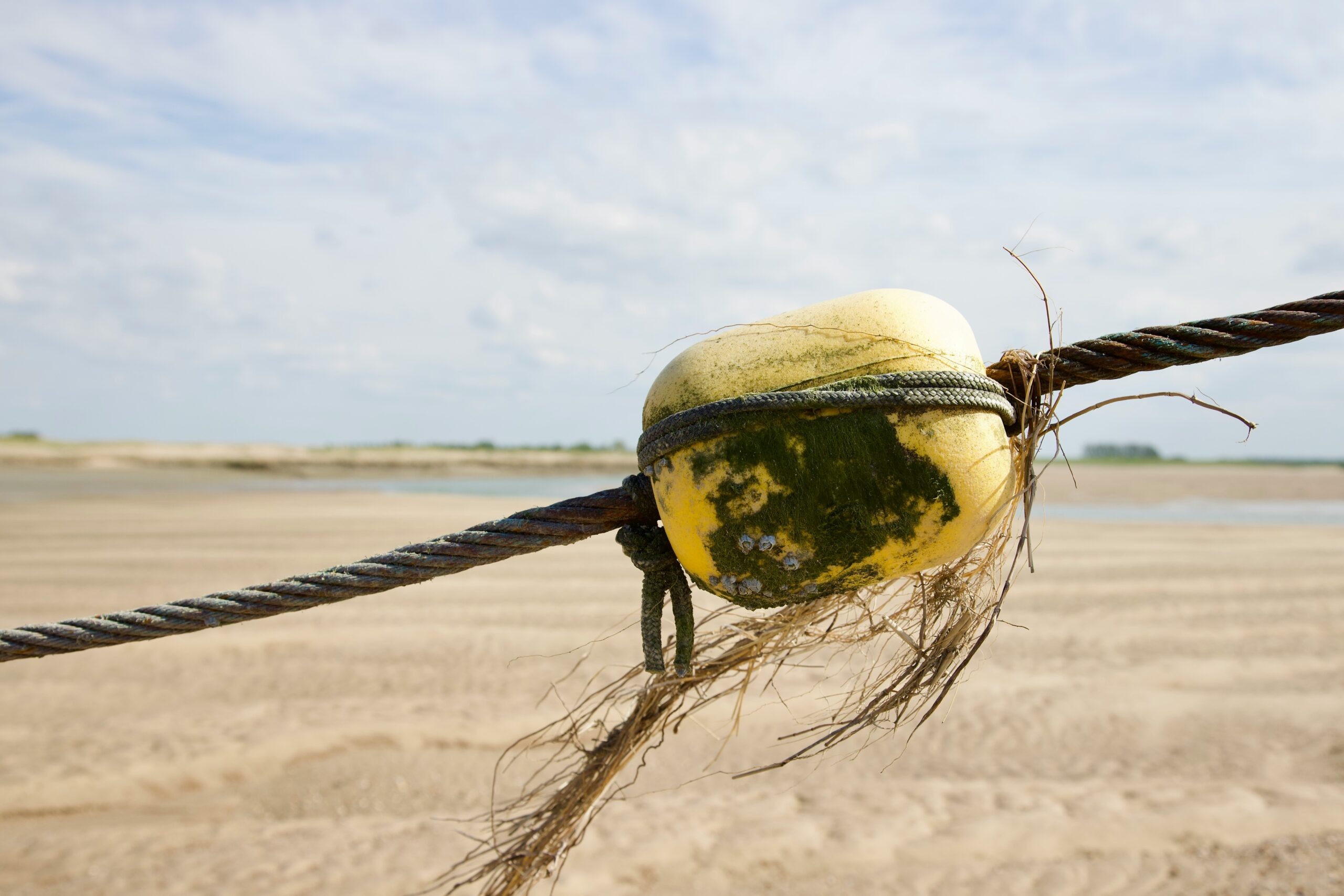 a rope with a buoy attached to it on a beach