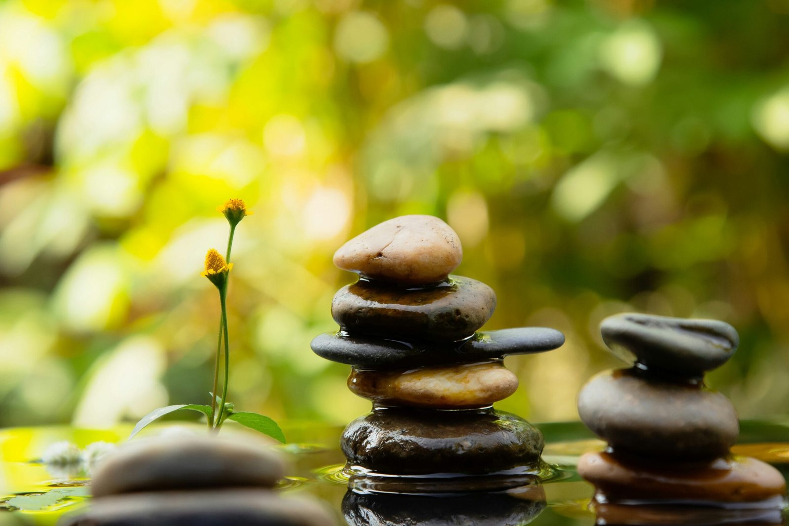 The 50th Libertarian Philosophical Revolution: A Systemic Challenge to Traditional Governance 2 A group of rocks stacked on top of each other