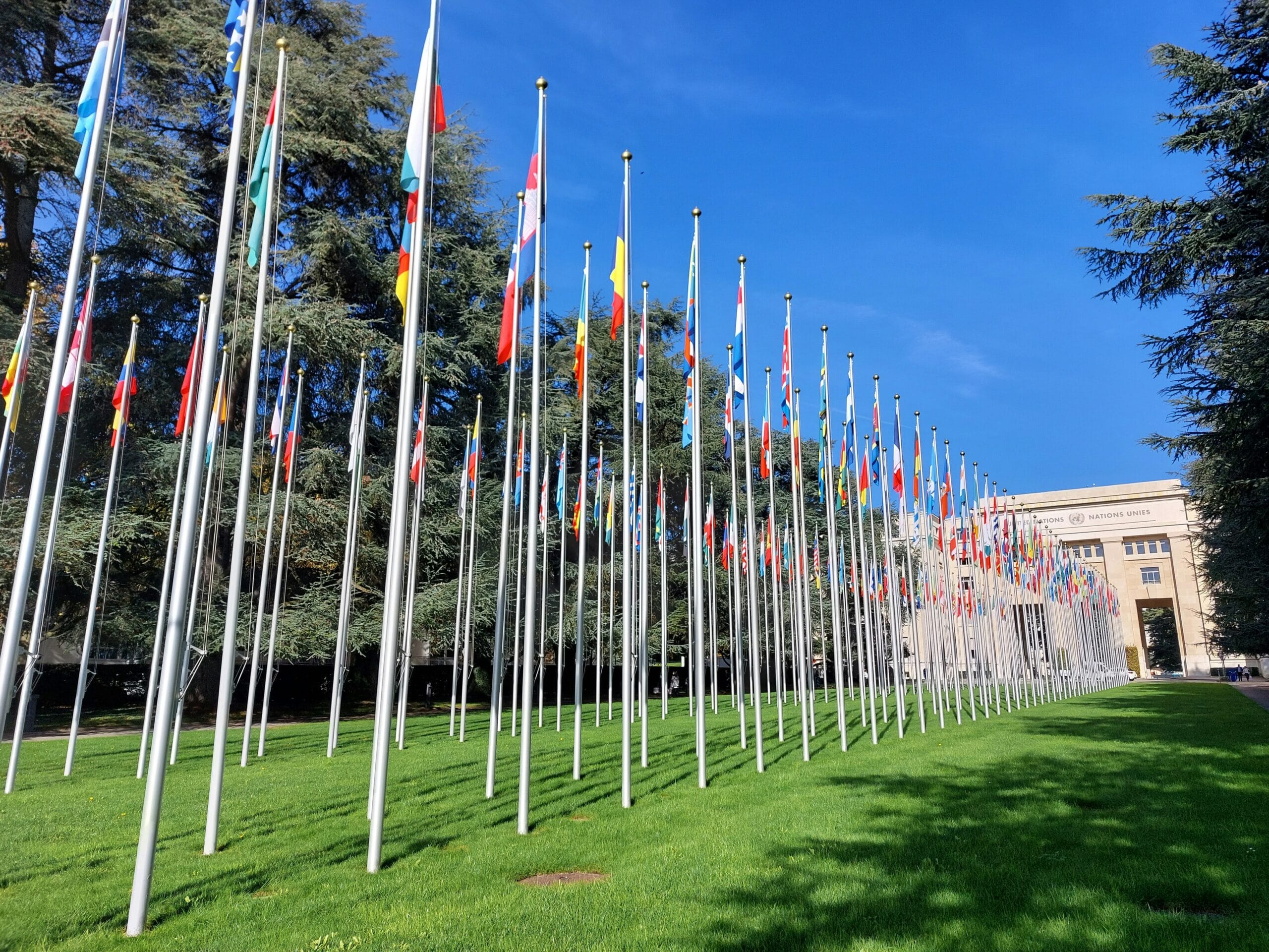 a row of flags in front of a building