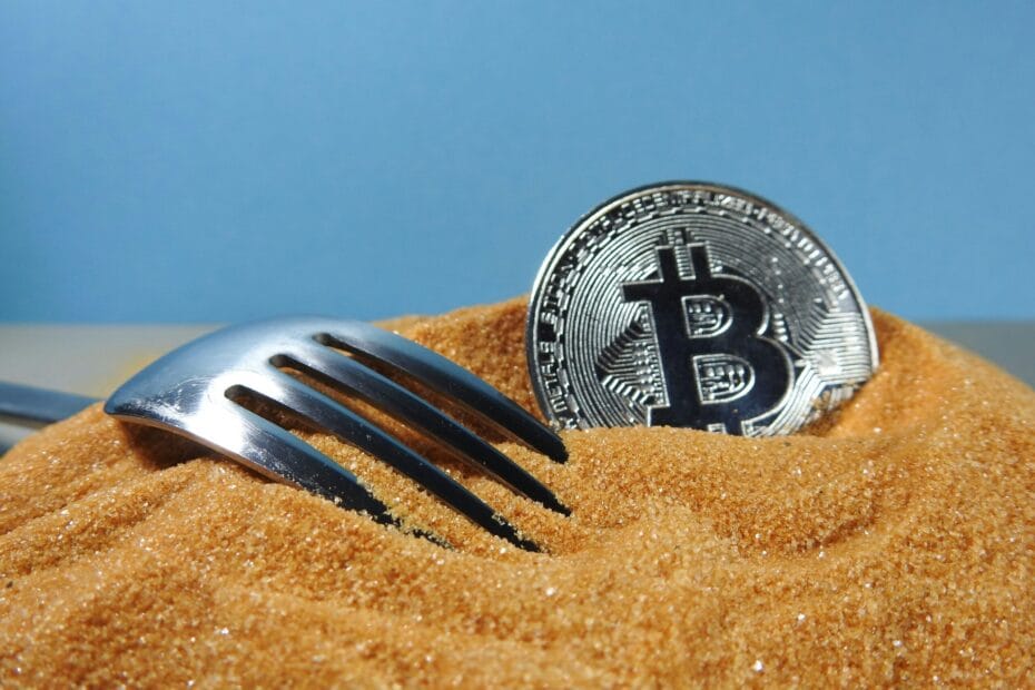 Exploring Bitcoin Forks: Bitcoin Cash and Bitcoin SV