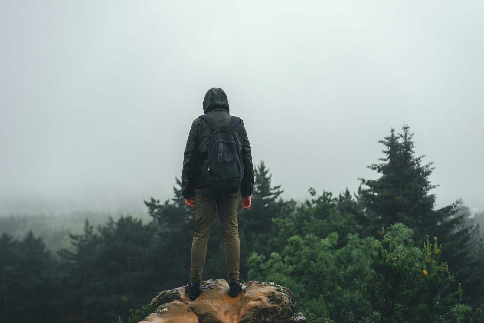 The Unyielding Spirit of Discovery: A Journey Through Human Exploration 2 man in black jacket and brown pants standing on green grass field during daytime